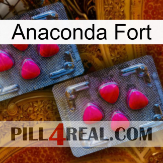 Anaconda Strong 14